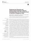 Research paper thumbnail of Exploring the Diversity and Antimicrobial Potential of Marine Actinobacteria from the Comau Fjord in Northern Patagonia, Chile