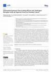 Research paper thumbnail of Interaction between Non-Coding RNAs and Androgen Receptor with an Especial Focus on Prostate Cancer