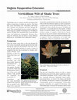 Research paper thumbnail of Verticillium Wilt of Shade Trees