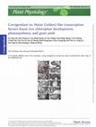 Research paper thumbnail of Corrigendum to: Maize Golden2-like transcription factors boost rice chloroplast development, photosynthesis, and grain yield