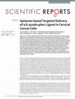 Research paper thumbnail of Aptamer-based Targeted Delivery of a G-quadruplex Ligand in Cervical Cancer Cells