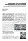 Research paper thumbnail of Analysis of the discontinuities of the micro-finishing process, taking into account the form and characteristics of the micro-chips structure