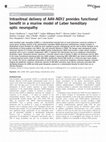 Research paper thumbnail of Intravitreal delivery of AAV-NDI1 provides functional benefit in a murine model of Leber hereditary optic neuropathy