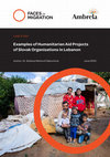 Research paper thumbnail of Examples of Humanitarian Aid Projects of Slovak Organisations in Lebanon (Case Study)