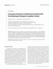 Research paper thumbnail of A new genus and species of subterranean trechine beetle from Montenegro (Coleoptera: Carabidae: Trechini)