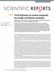 Research paper thumbnail of Viral highway to nucleus exposed by image correlation analyses