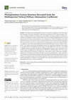 Research paper thumbnail of Phytoplankton Genera Structure Revealed from the Multispectral Vertical Diffuse Attenuation Coefficient