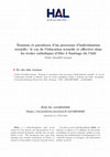 Research paper thumbnail of Tensions et paradoxes d'un processus d'individuation sexuelle : le cas de l'éducation sexuelle et affective dans les écoles catholiques d'élite à Santiago du Chili