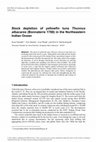 Research paper thumbnail of Stock depletion of yellowfin tuna Thunnus albacares (Bonnaterre 1788) in the Northeastern Indian Ocean