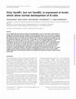 Research paper thumbnail of Only VpreB1, but not VpreB2, is expressed at levels which allow normal development of B cells