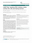 Research paper thumbnail of cGMP-Prkg1 signaling PDE5 inhibition shelter cochlear hair cells and hearing function