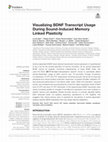 Research paper thumbnail of Visualizing BDNF Transcript Usage During Sound-Induced Memory Linked Plasticity