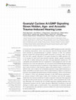 Research paper thumbnail of Guanylyl Cyclase A/cGMP Signaling Slows Hidden, Age- and Acoustic Trauma-Induced Hearing Loss