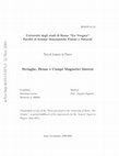 Research paper thumbnail of Stringhe, brane e campi magnetici interni