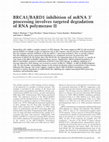 Research paper thumbnail of BRCA1/BARD1 inhibition of mRNA 3' processing involves targeted degradation of RNA polymerase II