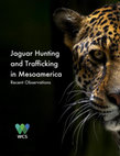 Research paper thumbnail of Jaguar Hunting and Trafficking in Mesoamerica Recent Observations Authors