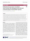 Research paper thumbnail of Deltaretroviruses have circulated since at least the Paleogene and infected a broad range of mammalian species