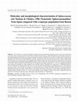 Research paper thumbnail of Molecular and morphological characterisation of Sphaeronema alni Turkina & Chizhov, 1986 (Nematoda: Sphaeronematidae) from Spain compared with a topotype population from Russia