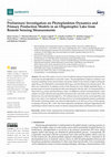 Research paper thumbnail of Preliminary Investigation on Phytoplankton Dynamics and Primary Production Models in an Oligotrophic Lake from Remote Sensing Measurements