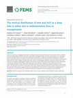 Research paper thumbnail of The vertical distribution of tetA and intI1 in a deep lake is rather due to sedimentation than to resuspension