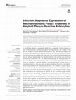 Research paper thumbnail of Infection Augments Expression of Mechanosensing Piezo1 Channels in Amyloid Plaque-Reactive Astrocytes