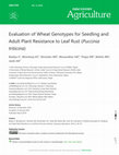 Research paper thumbnail of Evaluation of Wheat Genotypes for Seedling and Adult Plant Resistance to Leaf Rust (Puccinia triticina)