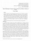 Research paper thumbnail of Cellini vs Michelangelo: A Comparison of the Use of Furia, Forza, Difficultà, Terriblità, and Fantasia