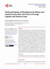 Research paper thumbnail of Yield and Uptake of Phosphorus by Wheat and Canola Grown after Two Years of Forage Legume and Annual Crops