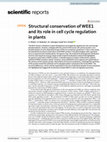 Research paper thumbnail of Structural conservation of WEE1 and its role in cell cycle regulation in plants