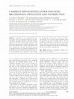 Research paper thumbnail of Cambrian rhynchonelliform nisusioid brachiopods: phylogeny and distribution