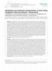 Research paper thumbnail of Identification and preliminary characterization of early fruiting mangabeira (Hancornia speciosa – Apocynaceae)