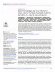 Research paper thumbnail of Experimental Lagos bat virus infection in straw-colored fruit bats: A suitable model for bat rabies in a natural reservoir species