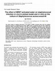 Research paper thumbnail of The effect of MRET activated water on staphylococcal infection in vivo in animal model and in vitro on the culture of Staphylococcus aureus wood-46