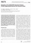 Research paper thumbnail of Disruption of the GluR2-NSF Interaction Protects Primary Hippocampal Neurons from Ischemic Stress