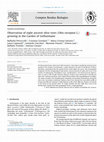 Research paper thumbnail of Observation of eight ancient olive trees (Olea europaea L.) growing in the Garden of Gethsemane