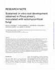 Research paper thumbnail of Sustained in vitro root development obtained in Pinus pinea L. inoculated with ectomycorrhizal fungi