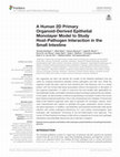 Research paper thumbnail of A Human 2D Primary Organoid-Derived Epithelial Monolayer Model to Study Host-Pathogen Interaction in the Small Intestine