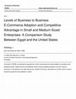 Research paper thumbnail of Levels of Business to Business E-Commerce Adoption and Competitive Advantage in Small and Medium-Sized Enterprises: A Comparison Study Between Egypt and the United States