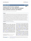 Research paper thumbnail of Cesium and strontium tolerant Arthrobacter sp. strain KMSZP6 isolated from a pristine uranium ore deposit