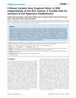 Research paper thumbnail of A Mouse Variable Gene Fragment Binds to DNA Independently of the BCR Context: A Possible Role for Immature B-Cell Repertoire Establishment