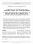 Research paper thumbnail of DCC gene network in the prefrontal cortex is associated with total brain volume in childhood