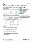 Research paper thumbnail of Corticoamygdala Transfer of Socially Derived Information Gates Observational Learning