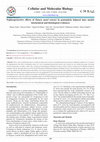 Research paper thumbnail of Nephroprotective effects of Datura metel extract in gentamicin induced mice model: biochemical and histological evidences