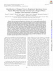 Research paper thumbnail of Identification of Dengue Virus in Respiratory Specimens from a Patient Who Had Recently Traveled from a Region Where Dengue Virus Infection Is Endemic