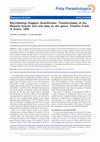 Research paper thumbnail of Bat-infesting chiggers (Acariformes: Trombiculidae) of the Balearic Islands and new data on the genus Trisetica Traub et Evans, 1950