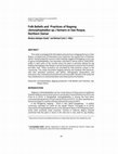 Research paper thumbnail of Folk Beliefs and Practices of Bagong (Amorphophallus sp.) Farmers in San Roque, Northern Samar