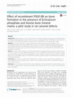 Research paper thumbnail of Effect of recombinant PDGF-BB on bone formation in the presence of β-tricalcium phosphate and bovine bone mineral matrix: a pilot study in rat calvarial defects