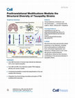 Research paper thumbnail of Posttranslational Modifications Mediate the Structural Diversity of Tauopathy Strains