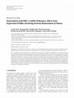 Research paper thumbnail of Doxorubicin and NRG-1/erbB4-Deficiency Affect Gene Expression Profile: Involving Protein Homeostasis in Mouse