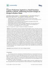 Research paper thumbnail of Cleaner Production Applied in a Small Furniture Industry in Brazil: Addressing Focused Changes in Design to Reduce Waste